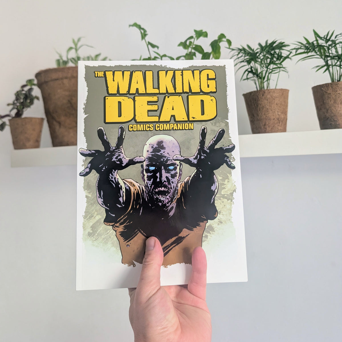 The Walking Dead Comics Companion