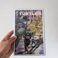 TMNT 2024 #13 Jared Cullum Cover C Variant