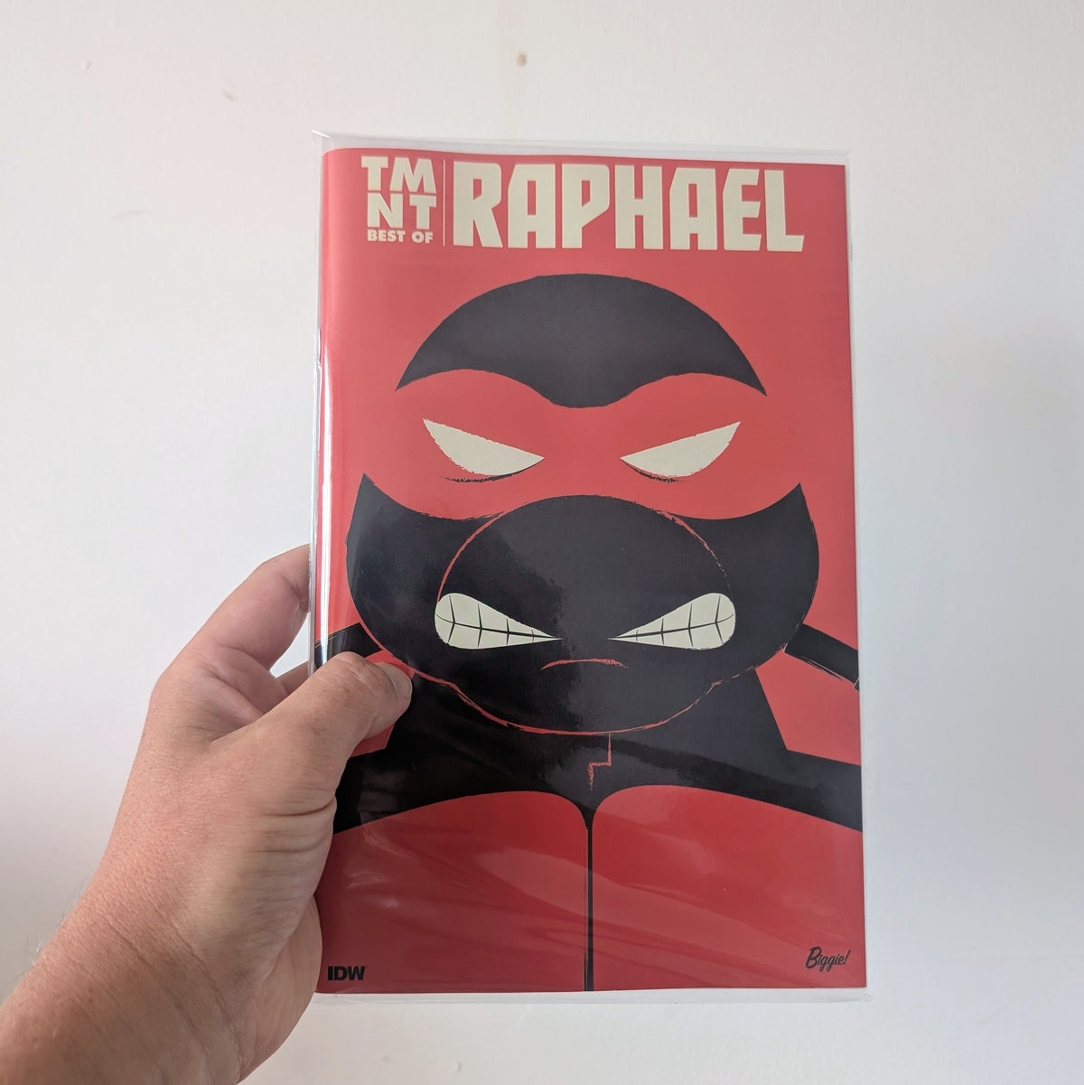 TMNT Best of Raphael