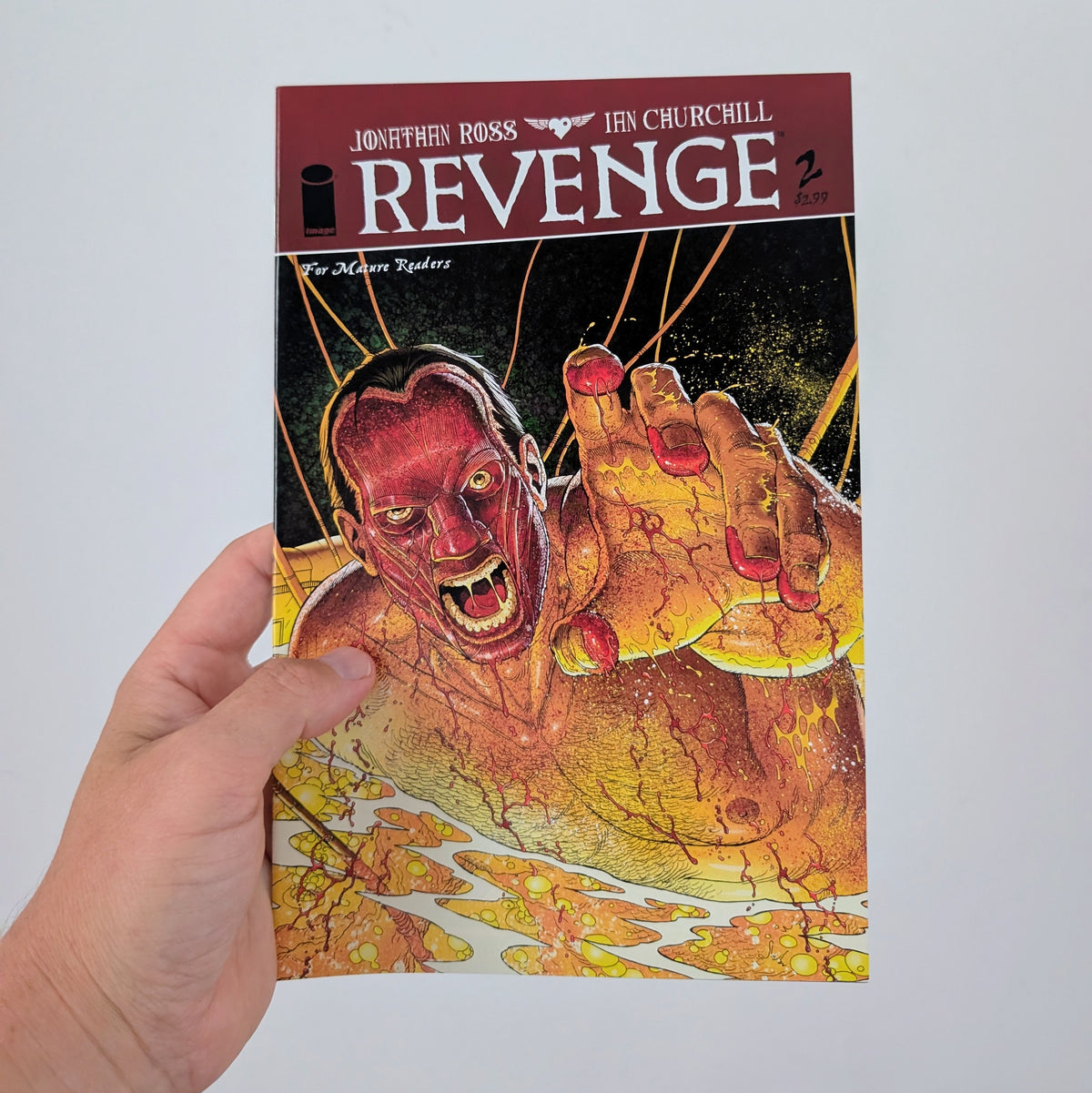 Revenge #2 Cover A by Jonathan Ross